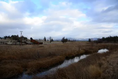 DSC_2935 (Large).JPG